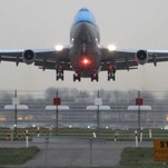 Puppy Dies On KLM Flight from Amsterdam to Boston