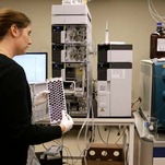 Scientists Now Free to Use Fetal Tissue to Find Life-Saving Treatments Under the Biden Administration