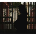 Tennessee Becomes Latest State to Ban 'Barbaric' Shackling of Pregnant Incarcerated People