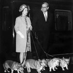 But What Will Become of Her Majesty’s Royal Corgis?