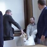 Michael Bloomberg Meets A Dog For What Can Only Be the Very First Time