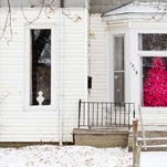 I Want the Pink Christmas Tree