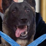 Is The Trump Dog Real? A Very Serious Debate
