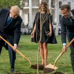 FRIENDSHIP TREE IS DEAD; RIP FRIENDSHIP