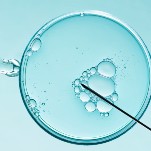 Alabama Supreme Court Rules Frozen Embryos Are ‘Children’ In Chilling Legal First