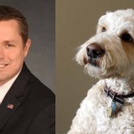 Nice to Know a Labradoodle Breeder Was Leading HHS's Coronavirus Response