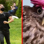 Saturday Night Social: Christian Siriano Upstaged by This Bird I Saw on TikTok
