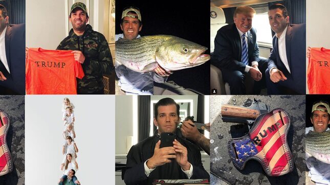 A Terrible Year in Don Jr. 