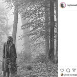 Taylor Swift Is Back in the Woods Now, Back in the Woods Now, Back in the Woods Now