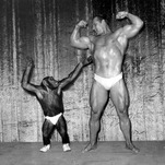 Why Are Men Obsessed With Fighting Chimps?