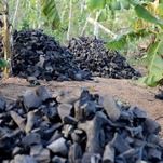 There's No Proof That Charcoal in Beauty Products Actually Does Anything