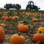 The Pumpkin Spice Onslaught Begins Now, Gird Your Loins