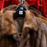 California Bans Fur