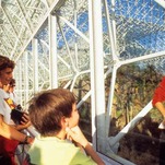 Advice for Surviving Lockdown, From a Woman Who Spent Two Years in a Closed Glass Structure
