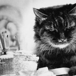 Your Birthday Horror Stories