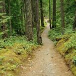 Study Finds Going Outside for 20 Minutes a Day Will Help Your Skyrocketing Stress Levels