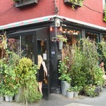 The Spotted Pig Might Close Following Sexual Harassment Settlement