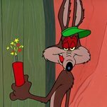The Trump Administration Is Cyanide Bombing Coyotes Now