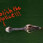 A Chat With @GatorsDaily, the Only Twitter Account for Anti-Fascist Gator Memes