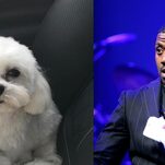 Boogotti Is Safe, But the Dognapper Remains at Large