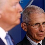 Dr. Fauci Is Doing a Good Job So It's Only a Matter of Time Before Trump Fires Him