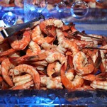 Even The Shrimp Are Microdosing