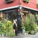 Spotted Pig Owner Ken Friedman to Pay Accusers $240,000 in Sexual Harassment Case