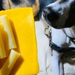 If You're Hungry, Try This Quick and Easy Snack