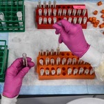 A Coronavirus Vaccine Trial Was Paused Because of One Participant's 'Unexplained Illness'