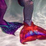 Mermaid Sex: Let Us Consider All the Ways
