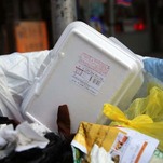 Congrats to Maine, the First State to Ban Styrofoam