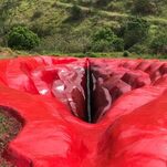 Art Installation Begs the Question Will Men Finally Be Able to Identify a Clitoris on This Gigantic Vagina