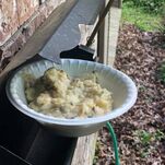 Mashed Potato Bandit Terrorizes Mississippi Neighborhood