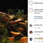 Soon We Can All Dress Like a Real Fungi