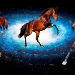 Did You Happen to Notice the New Star Wars Features Horses Galloping Around in Deep Space?