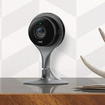 Time to Trash Your Nest