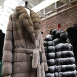 In True Cruella De Vil Fashion, San Francisco Doesn't Want to Give Up Fur