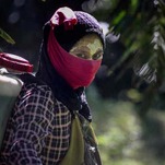 The Palm Oil Industry Is a Nightmare for Women: Report