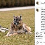 Major Biden Is a Bad Dog, But Try Telling That to His Loyal Stans
