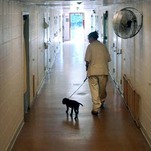 Guards Suspended From New Jersey Prison Where Women Are 'Regularly Sexually Assaulted'