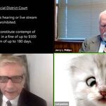 Cat Finally Puts Law Degree to Good Use