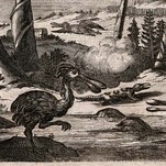 I Am a Doctor Too, and I Say Birds, Lizards, and Dinosaurs Are the Same Creature