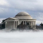 A Mysterious Slime Has Come For Washington D.C.