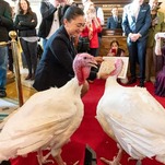 Is One of These Turkeys Named Rudy Giuliani?