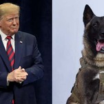The President Has Never Met a Dog