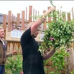 When You're Done With Bake Off, Binge the Delightfully Polite and Very British Garden Rescue