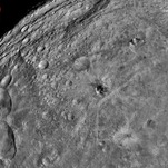Reminder: You Could Be Annihilated by an Asteroid at Any Point