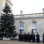 Christmas Trees Should Wear Sunglasses Instead of Decorations