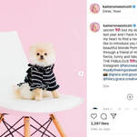 The Real Housewives of Dallas's Brief Encounter With a Pet Psychic Has Left Me Shaken