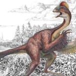 Dinosaurs Had Bedbugs Too